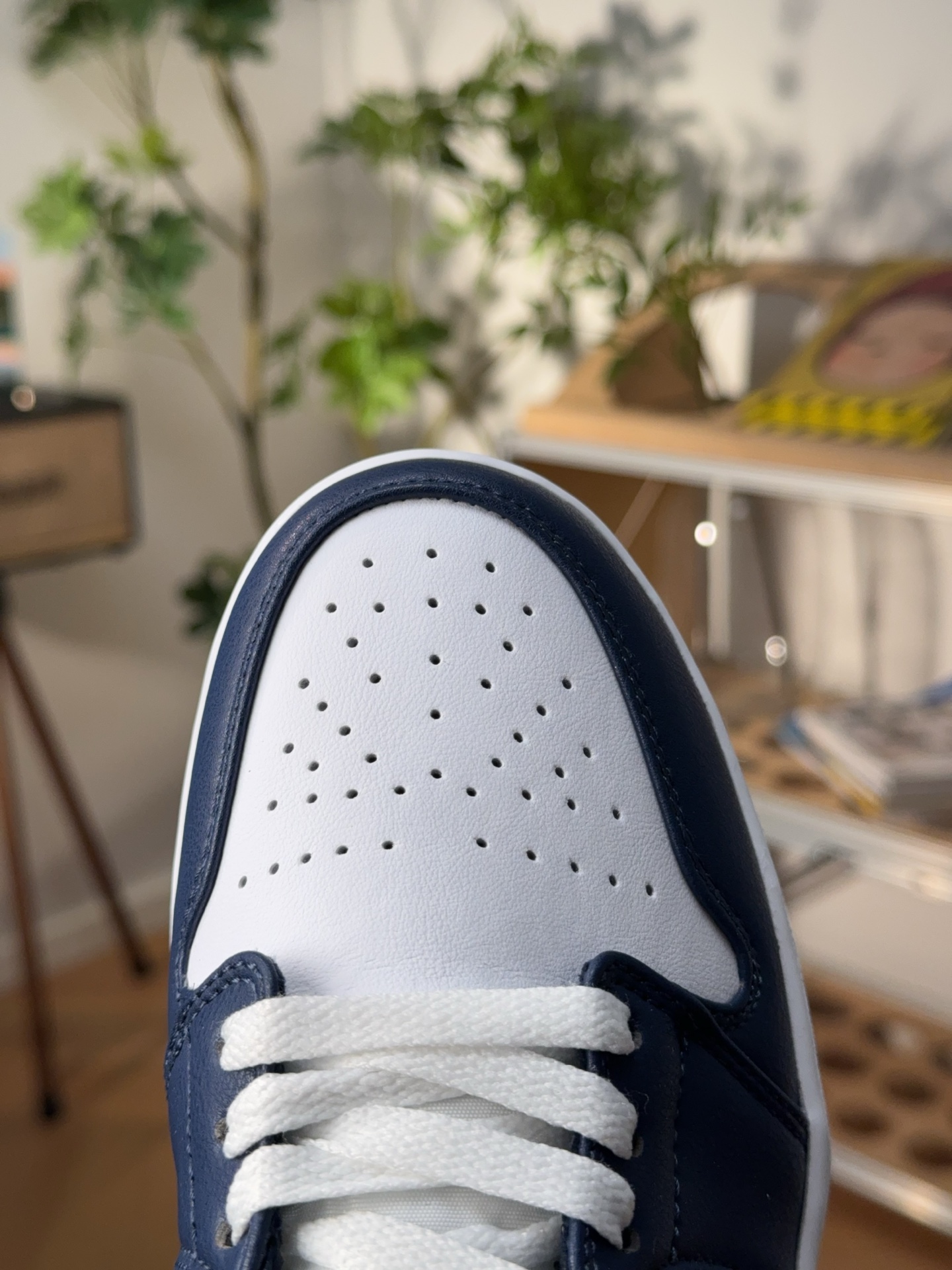 Nike Jordan